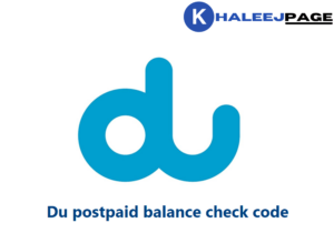 Read more about the article Du postpaid balance check code