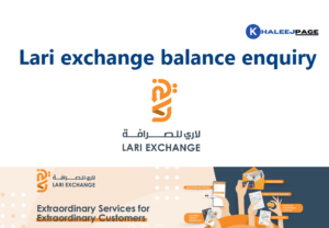 Read more about the article Lari exchange balance enquiry